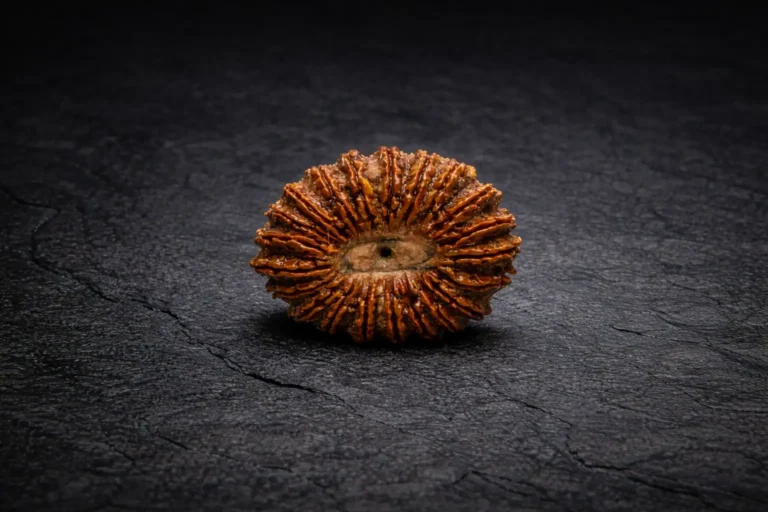 21 Mukhi Rudraksha