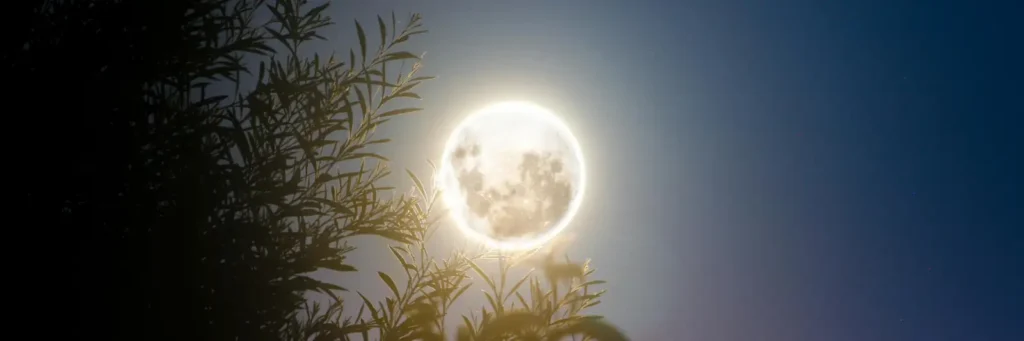 Full Moon