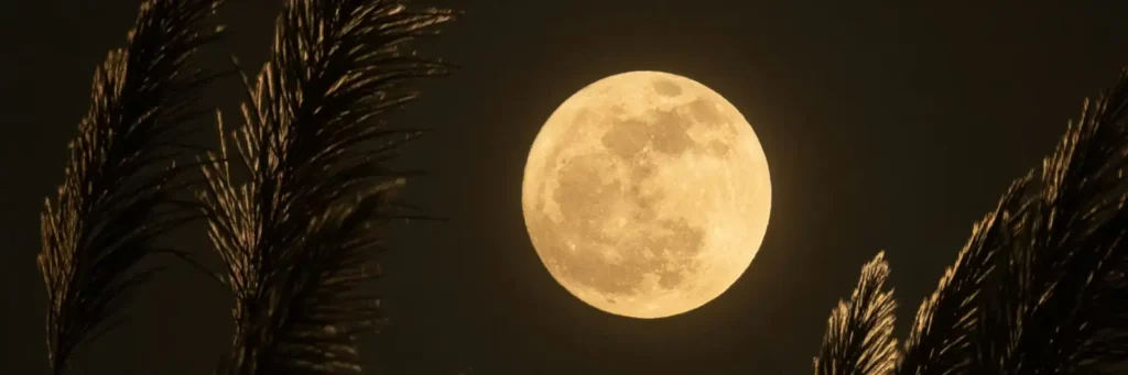 Full Moon